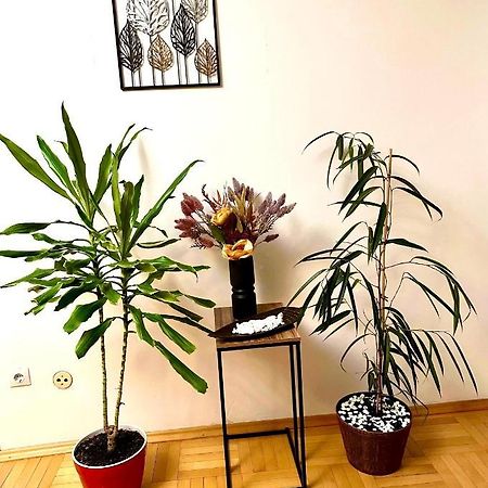 Vintage Bucharest Apartment Buitenkant foto