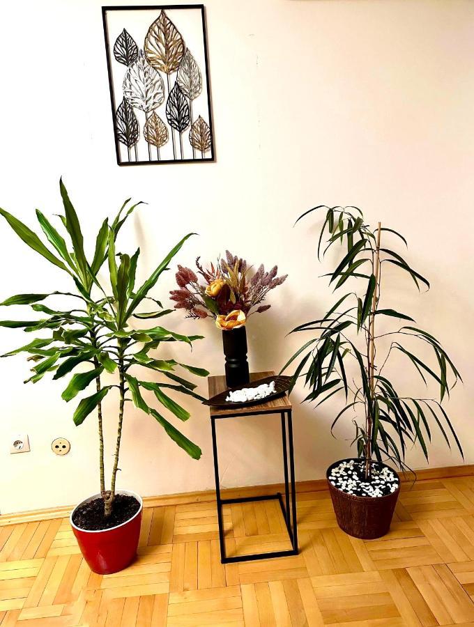 Vintage Bucharest Apartment Buitenkant foto